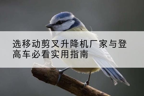 淮滨电动升降机厂家-选移动剪叉升降机厂家与登高车必看实用指南