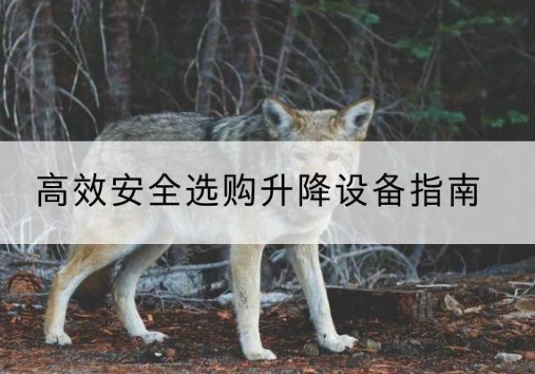 淮滨升降货梯厂家推荐-*安全选购升降设备指南