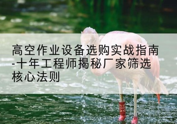 淮滨剪叉式升降机厂家-高空作业设备选购实战指南-十年工程师揭秘厂家筛选核心法则