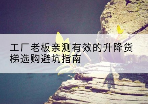 淮滨升降货梯怎么选-工厂老板亲测有效的升降货梯选购避坑指南